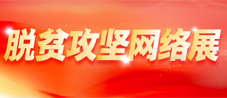 脱贫攻坚网络展